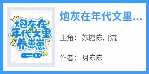 《苏糖陈川流》主角小说炮灰在年代文里养崽崽抖音文免费阅读全文