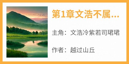 第1章文浩不属于他的记忆大结局阅读 文浩冷紫若司珺珺小说在线章节