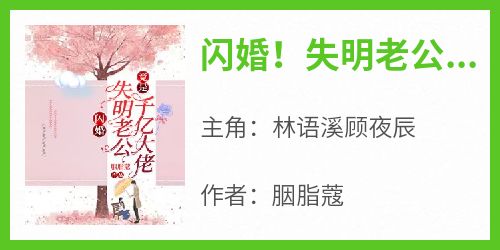 《闪婚！失明老公竟是千亿大佬》林语溪顾夜辰-小说txt全文阅读