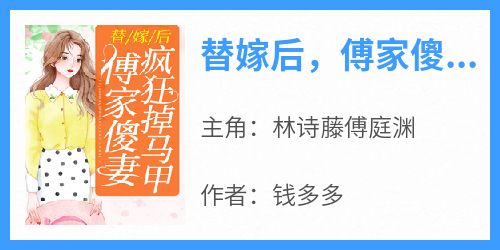 替嫁后，傅家傻妻疯狂掉马甲小说在线阅读，主角林诗藤傅庭渊精彩段落最新篇