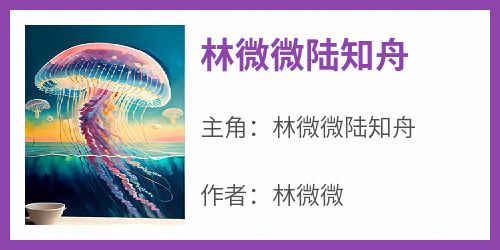 《林微微陆知舟》by林微微(林微微陆知舟)未删节免费阅读