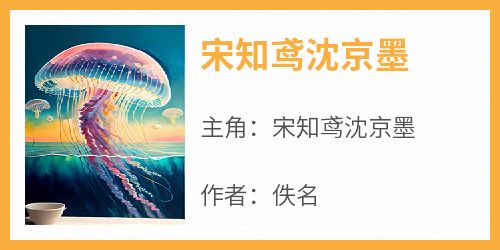 (热推新书)《宋知鸢沈京墨》宋知鸢沈京墨无弹窗阅读