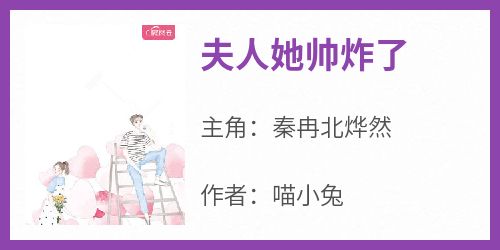 抖音小说《夫人她帅炸了》主角秦冉北烨然全文小说免费阅读