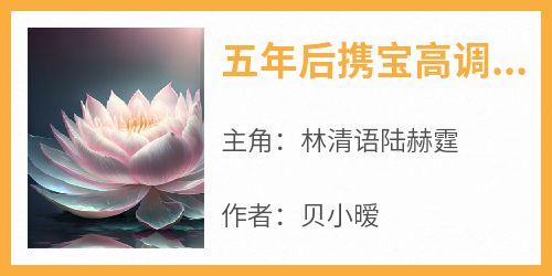 林清语陆赫霆是什么小说免费版阅读抖音热文