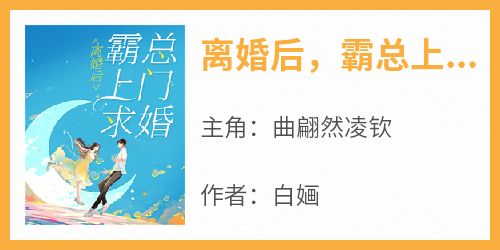 快手热文《离婚后，霸总上门求婚》曲翩然凌钦小说推荐