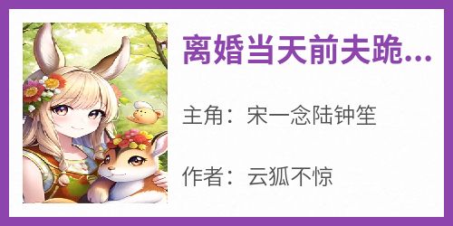 《离婚当天前夫跪求我复合》章节全目录 宋一念陆钟笙全文免费阅读