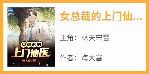 火爆女总裁的上门仙医小说，主角是林天宋雪在线阅读全文无删减