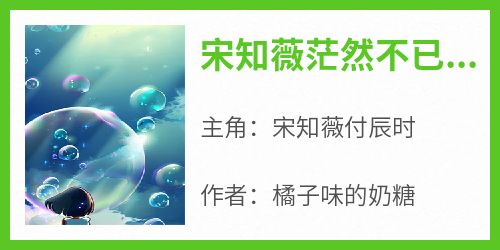 主角宋知薇付辰时小说完整版-宋知薇茫然不已,她明明被人打死了免费阅读全文