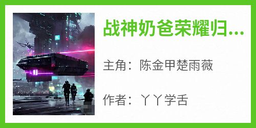 《战神奶爸荣耀归来》小说免费阅读 陈金甲楚雨薇大结局完整版