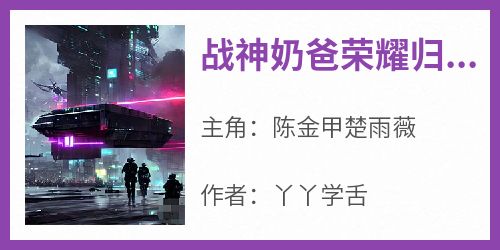 战神奶爸荣耀归来主角是陈金甲楚雨薇小说百度云全文完整版阅读