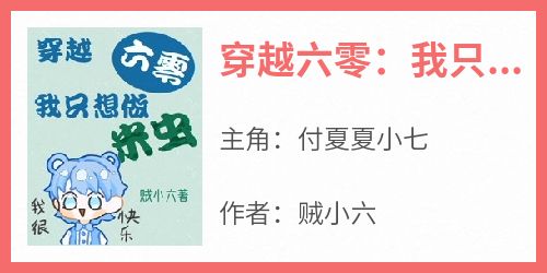 贼小六的小说《穿越六零：我只想做米虫》全文阅读