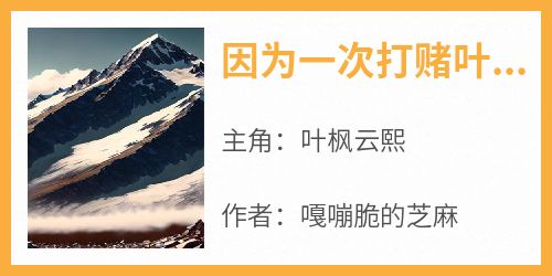 叶枫云熙小说<因为一次打赌叶枫被自家师娘输给>全文在线阅读