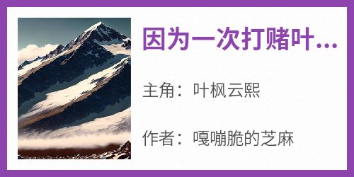 抖音小说因为一次打赌叶枫被自家师娘输给，主角叶枫云熙最后结局小说全文免费