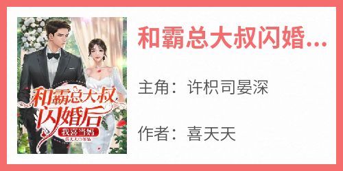 《和霸总大叔闪婚后，我喜当妈》许枳司晏深-小说txt全文阅读