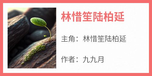 林惜笙陆柏延《林惜笙陆柏延》全文(林惜笙陆柏延)章节免费阅读