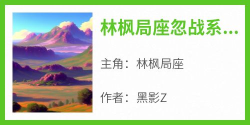 《林枫局座忽战系统》小说免费阅读 林枫局座大结局完整版