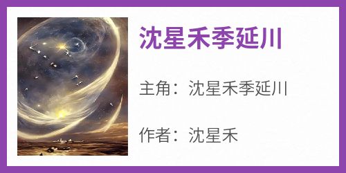 沈星禾季延川免费阅读全文，主角沈星禾季延川小说完整版