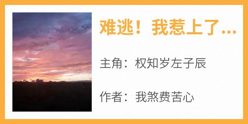 火爆难逃！我惹上了偏执学霸小说，主角是权知岁左子辰在线阅读全文无删减