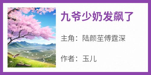 九爷少奶发飙了【全章节】陆颜苼傅霆深完结版免费阅读