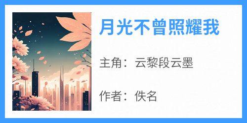 【抖音热推】云黎段云墨全文在线阅读-《月光不曾照耀我》全章节目录