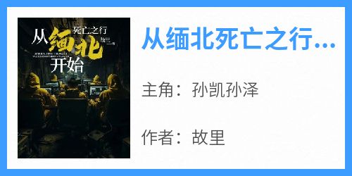 从缅北死亡之行开始免费小说作者故里全文阅读