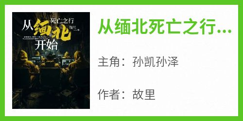 从缅北死亡之行开始在哪免费看，孙凯孙泽小说章节目录阅读