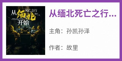 孙凯孙泽全本小说 《从缅北死亡之行开始》全文免费在线阅读