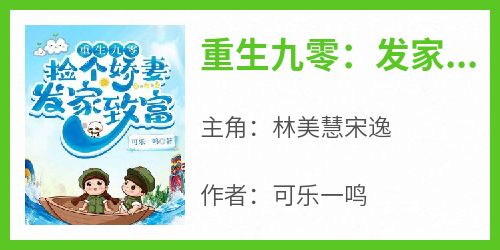 火爆重生九零：发家致富奔小康小说，主角是林美慧宋逸在线阅读全文无删减