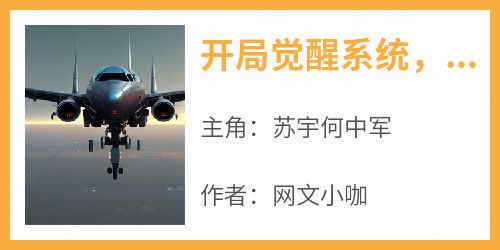 《开局觉醒系统，击杀敌军就能变强》苏宇何中军免费全章节目录阅读