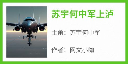 《苏宇何中军上泸》小说全章节目录阅读BY网文小咖完结版阅读