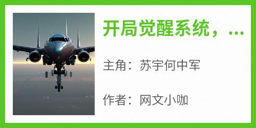 网文小咖写的小说《开局觉醒系统，击杀敌军就能变强》苏宇何中军全文阅读