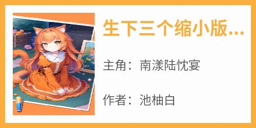 【新书】《生下三个缩小版，破首长十代单传》主角南漾陆忱宴全文全章节小说阅读