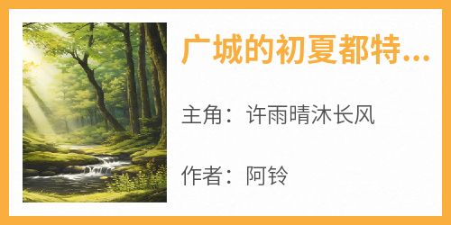 抖音小说《广城的初夏都特别热许雨晴》主角许雨晴沐长风全文小说免费阅读