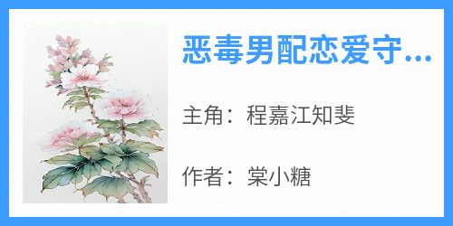 恶毒男配恋爱守则程嘉江知斐全本小说（恶毒男配恋爱守则）全章节小说目录阅读