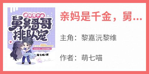 好文热推小说亲妈是千金，舅舅哥哥排队宠主角黎嘉沅黎维全文在线阅读