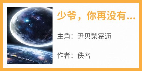 少爷，你再没有筹码能威胁我留下在线全文阅读-主人公尹贝梨霍沥小说