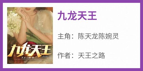 九龙天王(陈天龙陈婉灵)全文章节在线阅读