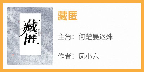 抖音小说何楚晏迟殊《何楚晏迟殊》无弹窗试读