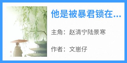 主角是赵清宁陆景寒的小说叫什么《他是被暴君锁在深宫的皇后》免费全文阅读