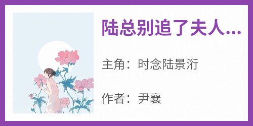 独家陆总别追了夫人已嫁人小说-主角时念陆景洐全文免费阅读