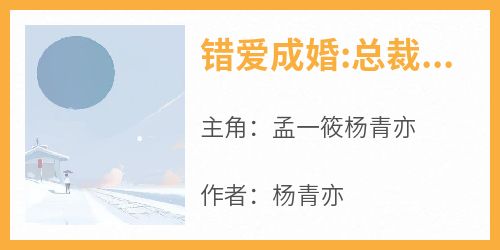 爆款小说《错爱成婚:总裁夫人又跑了》在线阅读-孟一筱杨青亦免费阅读