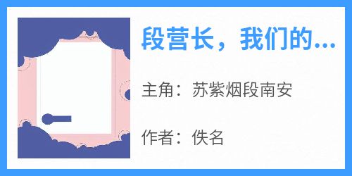 知乎小说段营长，我们的婚姻关系就此结束吧主角是苏紫烟段南安全文阅读