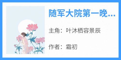 叶沐栖容景辰小说<随军大院第一晚，最强军官破戒了>全文在线阅读