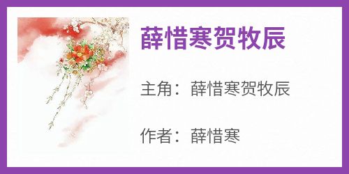 薛惜寒贺牧辰小说(完结)-薛惜寒贺牧辰无删减阅读