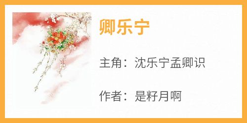 卿乐宁全集小说_沈乐宁孟卿识完结版阅读