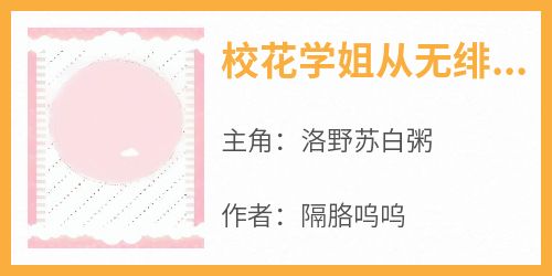 全网首发完整小说校花学姐从无绯闻，直到我上大学主角洛野苏白粥在线阅读