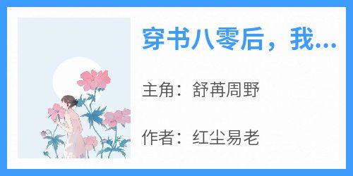 穿书八零后，我只想离婚认真搞钱(舒苒周野)全文章节在线阅读