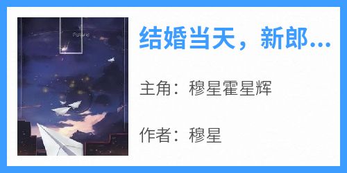 新上《结婚当天，新郎跟小三私奔了》穆星小说免费阅读