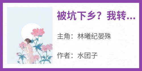 良心推荐被坑下乡？我转身军婚嫁进大院小说试读