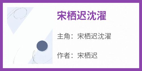 宋栖迟沈濯完整未删减版在线阅读 宋栖迟沈濯结局